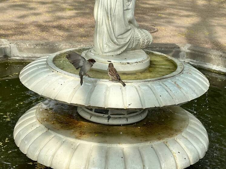 Прогноз на июль: летняя жара в Хакасии будет – другим регионам как повезет