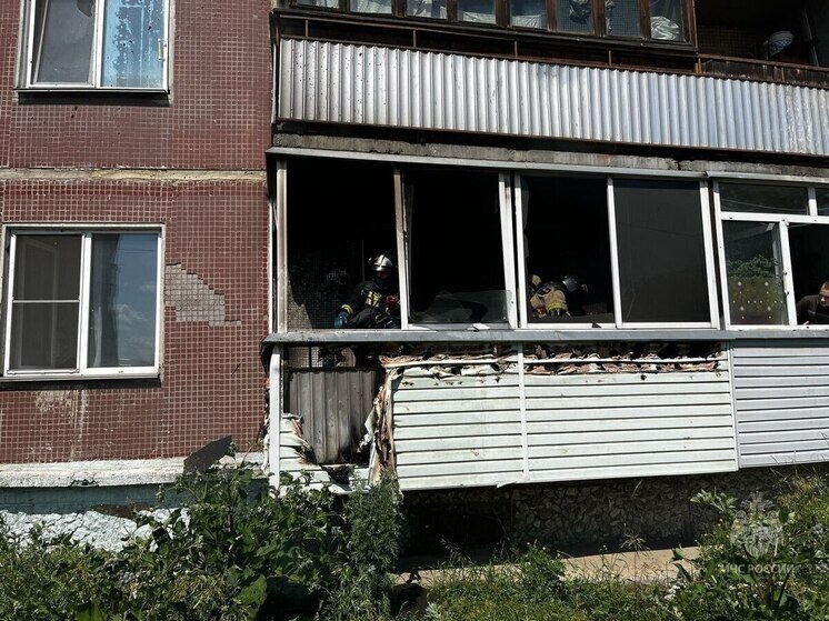 В Красноярском крае за сутки ликвидировали девять пожаров