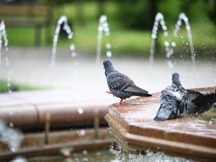 В Астраханской области днем 29 июня ожидается жара до +32 градусов