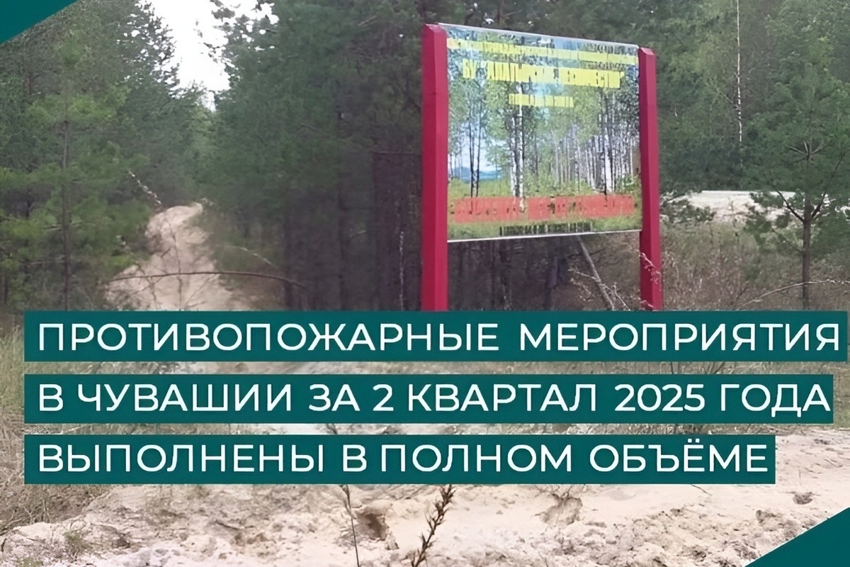 Лесники Чувашии на страже природы: тысячи километров защитных полос