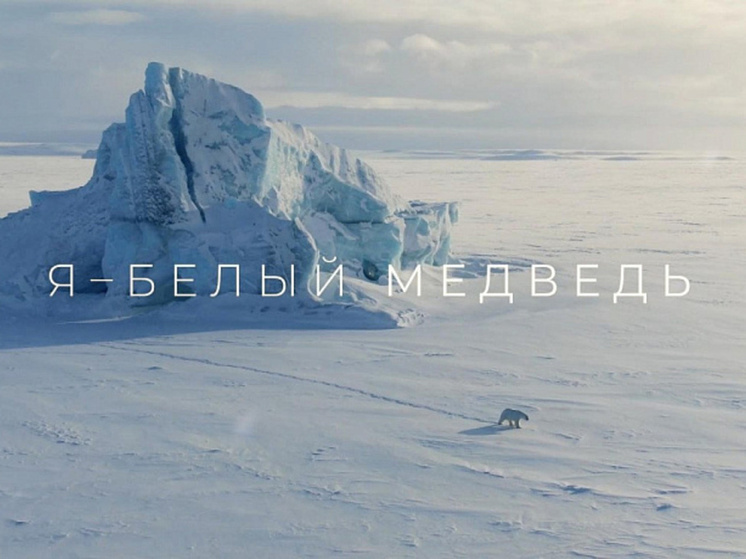 На площадке форума «Земляне» показывают фильмы об Арктике