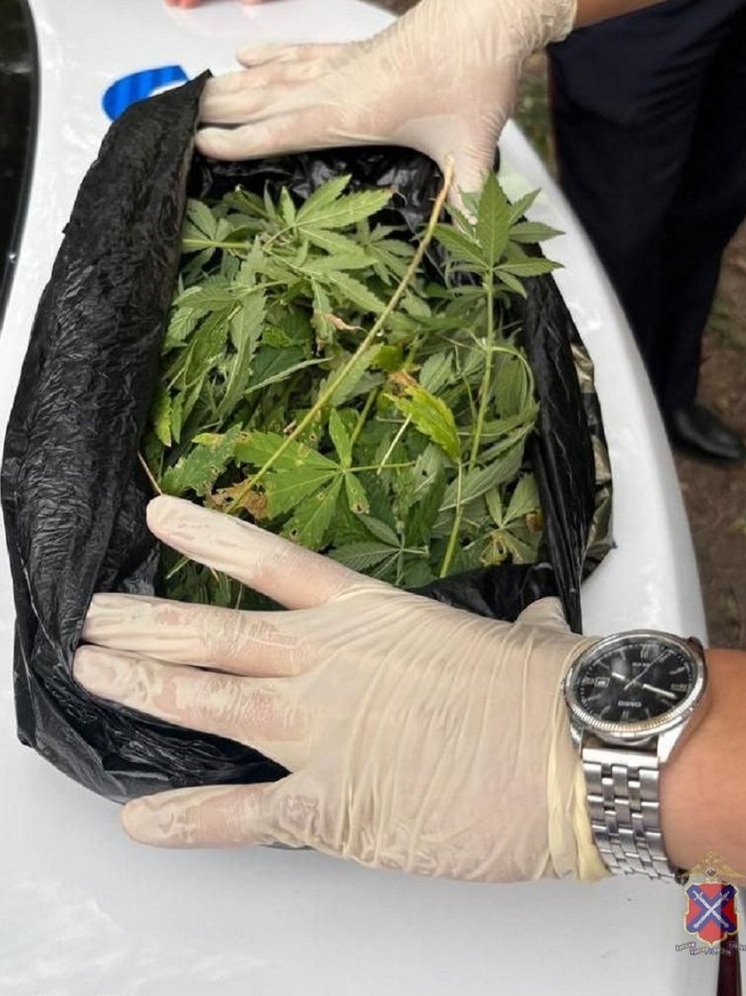 Двое жителей Волгоградской области хранили пакет с 300 граммами наркотика