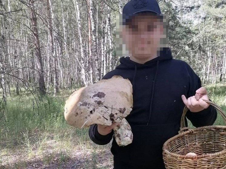 Рязанский школьник нашёл в лесу гигантский белый гриб весом 1 кг
