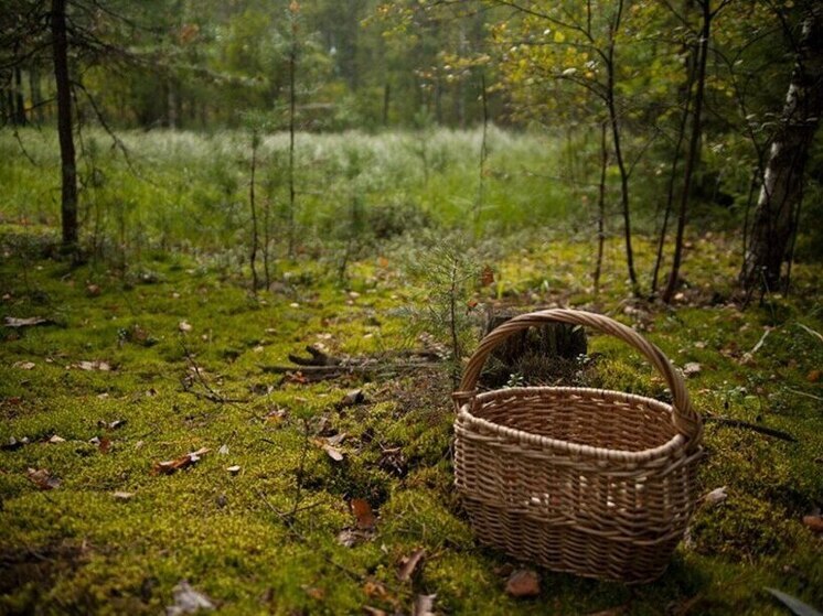 В Башкирии заблудились два человека