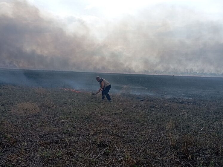 В Херсонской области жители села ликвидировали пожар своими силами