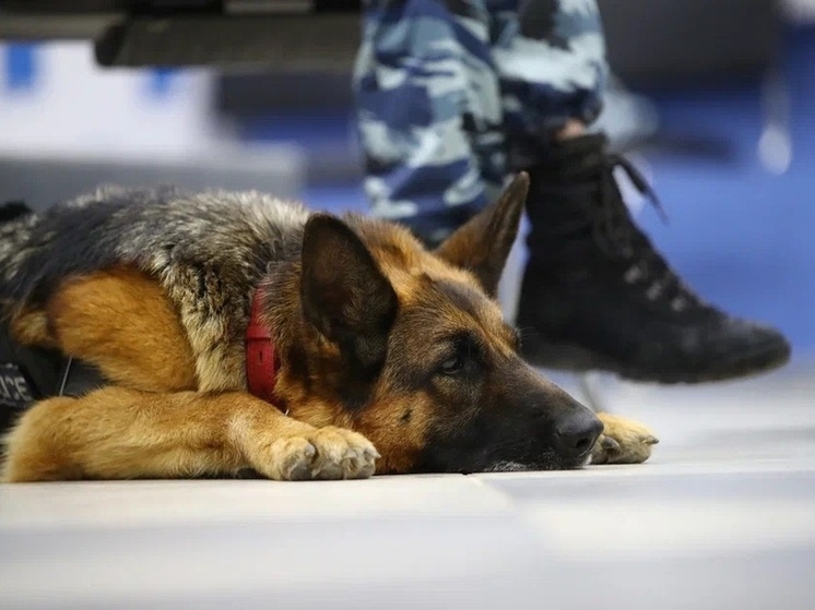 В Волгограде пропавшую 12 июня 61-летнюю пенсионерку нашли мертвой