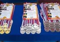 Участниками турнира стали почти сто юных борцов