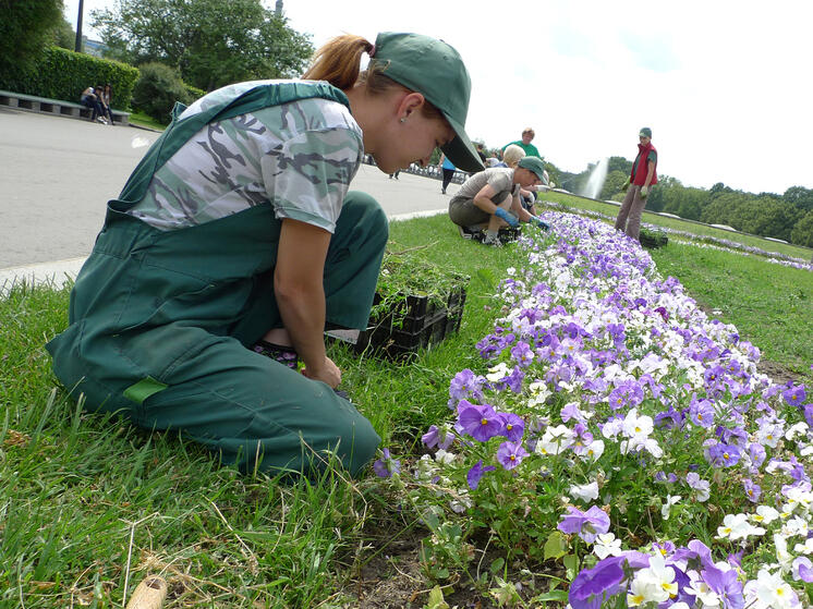 За последние десять лет зелёные зоны в жилых комплексах Москвы выросли в два раза