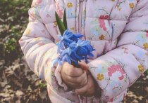 Психолог, эксперт-практик, исследователь, автор собственных методик по работе с психологическими травмами Ника Болзан посоветовала родителям обязательно развивать эмоциональный интеллект у детей. Это позволит ребенку справляться с трудностями и выстраивать социальные связи.