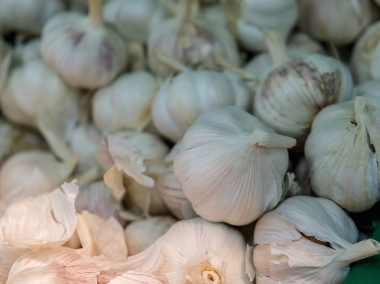 Волгоградцам дали рекомендации, как вырастить хороший урожай чеснока