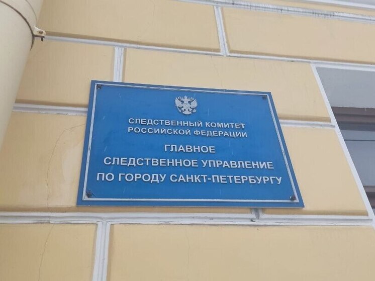 Бастрыкин потребовал доклад по делу о нападении на фельдшера в Петербурге