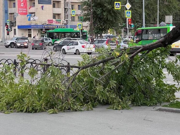 МЧС предупредило о штормовом ветре и грозах в Тульской области