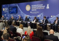 Председатель рабочей группы Делового совета БРИКС по агробизнесу, заместитель генерального директора ПАО «ФосАгро» по продажам и маркетингу Михаил Стёркин принял участие в сессии ПМЭФ-2025 «Перспективы укрепления делового партнерства БРИКС в новом формате».