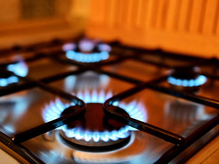 Газ для Евросоюза за время действия санкций против России подорожал в 2,5 раза