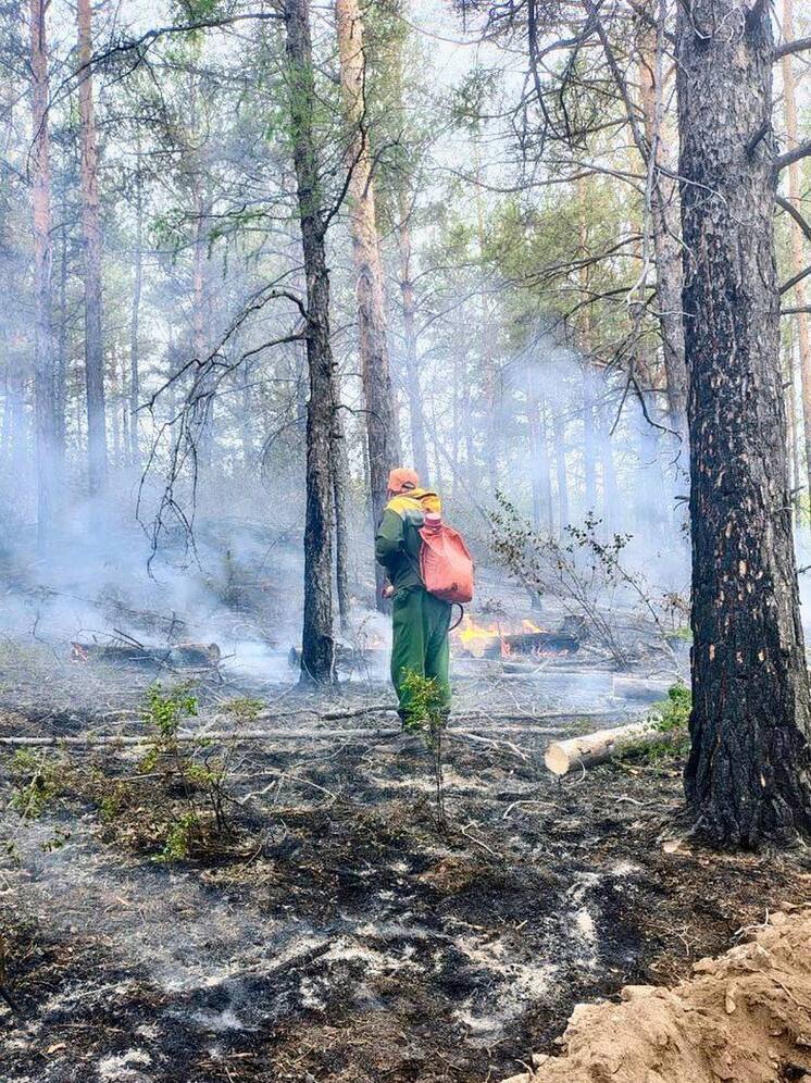 Дым с пожаров  в Забайкалье вновь доносит до Улан-Удэ