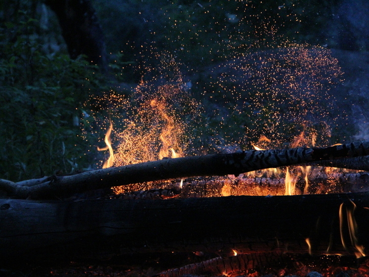 После гроз — пожары: в Хабаровском крае тушат пять пожаров