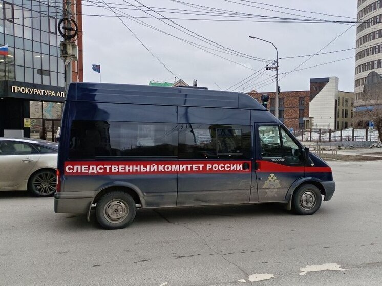 Бастрыкину доложат о проверке по факту жестокого избиения мужчины в Барнауле