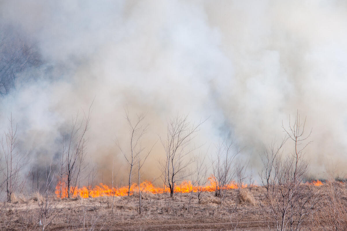 Двое пожарных погибли при стрельбе из засады во время тушения возгорания