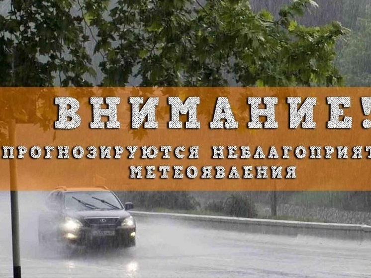 Грозы и ливни ожидаются в Нижегородской области 30 июня