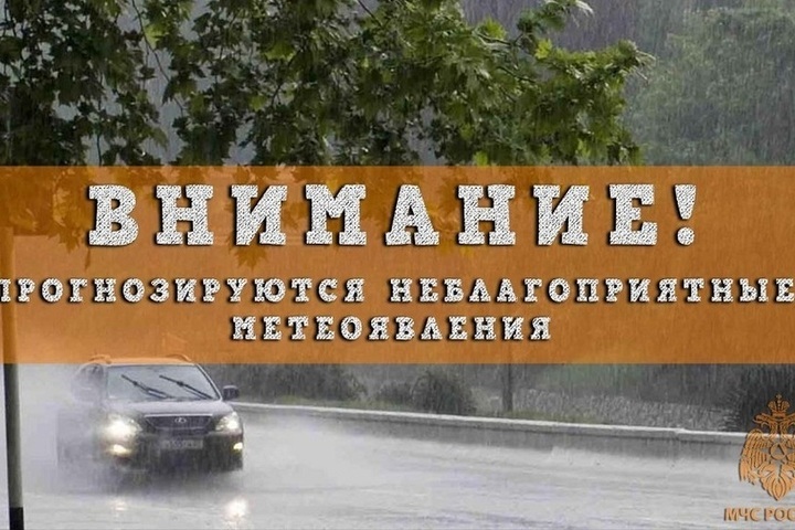 Грозы и ливни ожидаются в Нижегородской области 30 июня