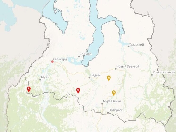 Площадь лесных пожаров в ЯНАО за сутки выросла в 8 раз