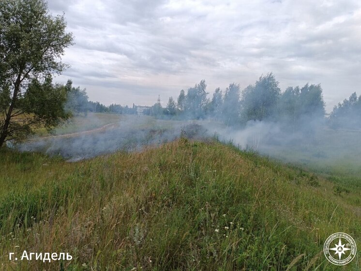 С начала года в Башкирии произошло уже более 10 лесных пожаров
