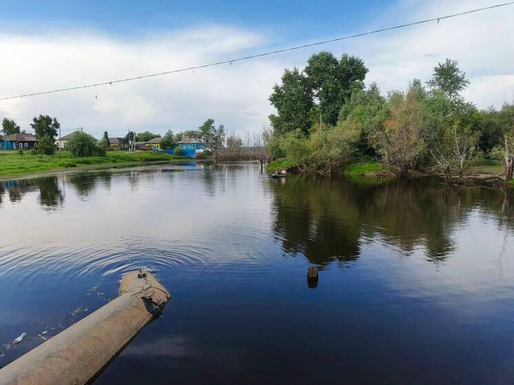 В Таре утонул 9-летний ребёнок во время рыбалки — прокуратура начала проверку