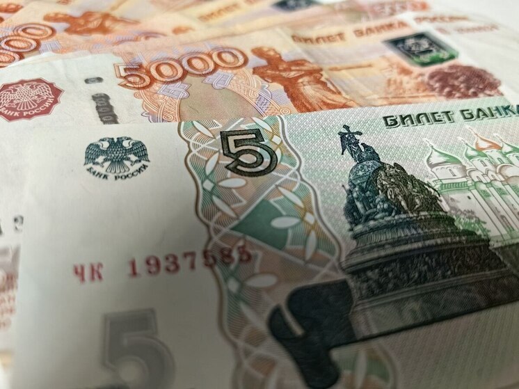 Посетитель хабаровского суда оштрафован за пронос запрещенного предмета