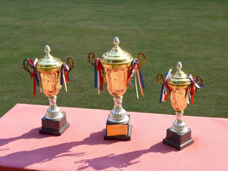 Jogadores de vôlei de Obninsk conquistaram o sétimo conjunto de prêmios