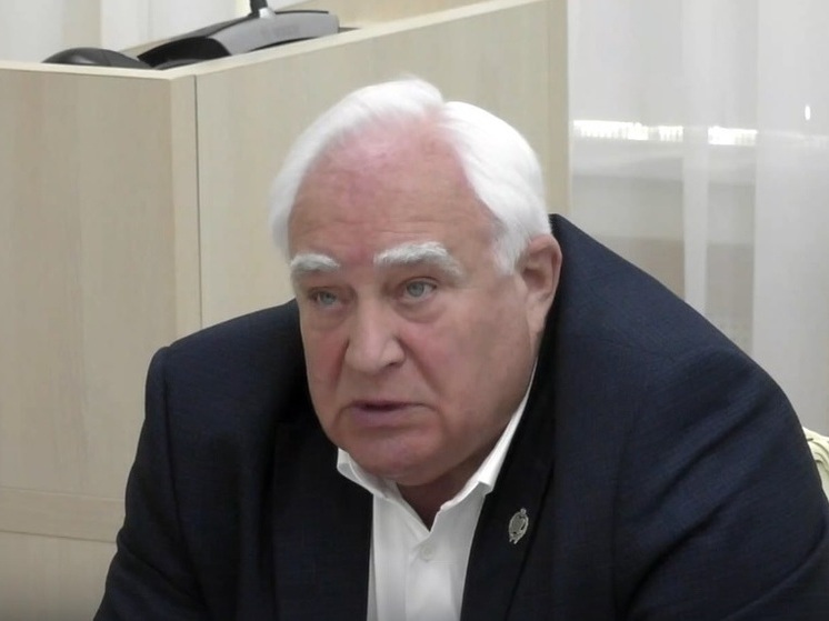 Хинштейн представил исполняющего обязанности главы Курской облдумы