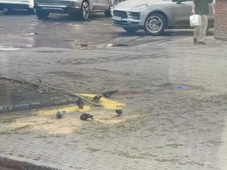 В Свердловской области почти всю неделю будут дожди