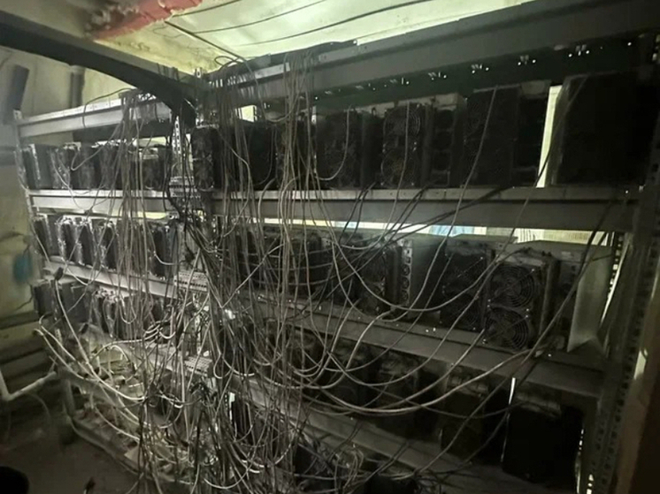 Крупную майнинговую ферму ликвидировали в Петербурге на Митрофаньевском шоссе