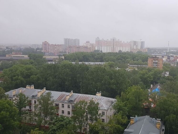 В Подмосковье возможен мощный ветер в порывах до 15-20 м/с