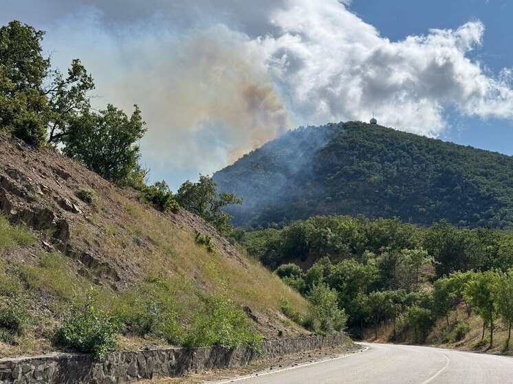 Под Алуштой локализовали лесной пожар на горе Кастель