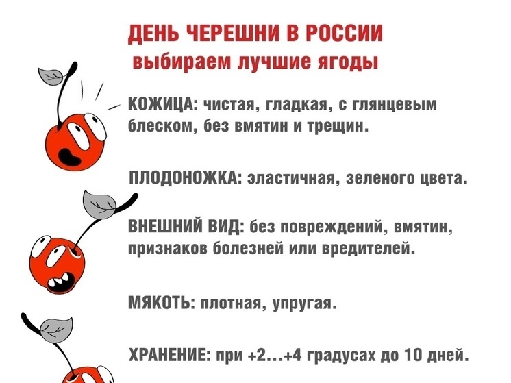 Псковский Роспотребнадзор рассказал о полезных свойствах черешни