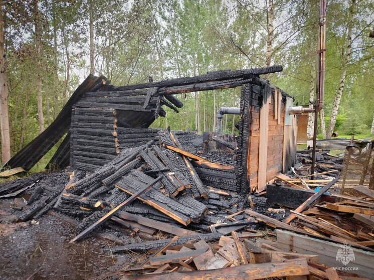 Неосторожное обращение с огнем стало причиной пожара в Пыталовском округе