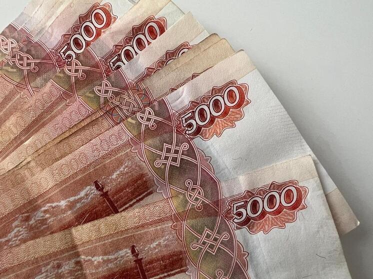 Ставропольчанка уплатила полмиллиона штрафа за незаконную организацию азартных игр