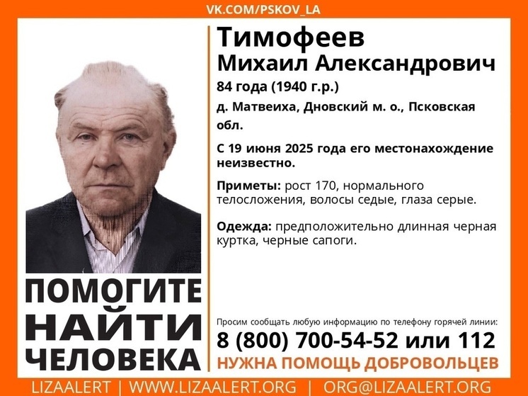 В Псковской области ищут пенсионера