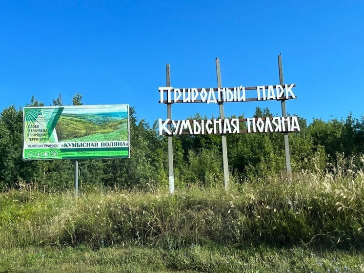 В Заводском районе Саратова нашли родники, из которых лучше не пить