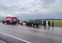 В Алтайском крае правоохранители возбудили уголовное дело по факту аварии в Шипуновском районе, в которой погибли трое детей. Сообщается, что всего в результате ДТП скончались шесть человек.