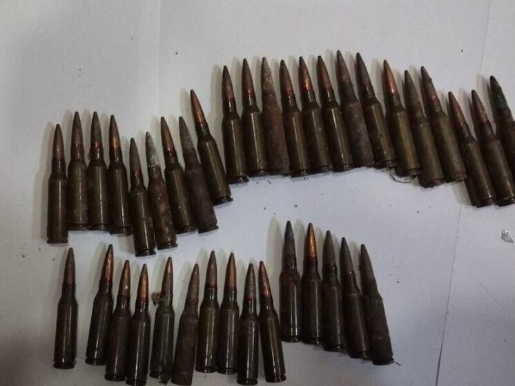 В Запорожской области найден очередной тайник с боеприпасами