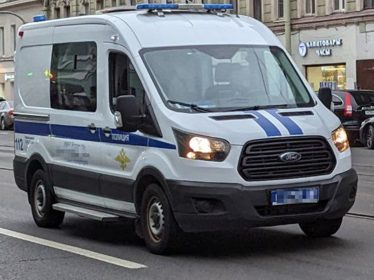 В частном доме в поселке Дунай полицейские обнаружили арсенал и наркоплантацию