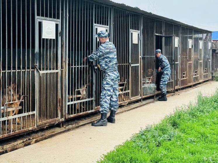 В Бурятии выбрали лучших полицейских-кинологов
