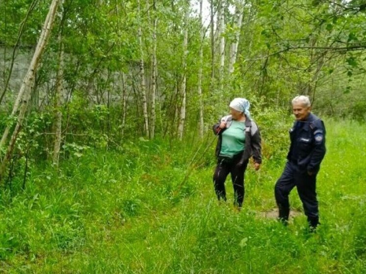 Спасатели Подмосковья отыскали заблудившуюся в лесу пенсионерку