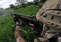 На днях военные группировки «Восток» вытеснили подразделения ВСУ с очередного укрепрайона – села Шевченко в ДНР