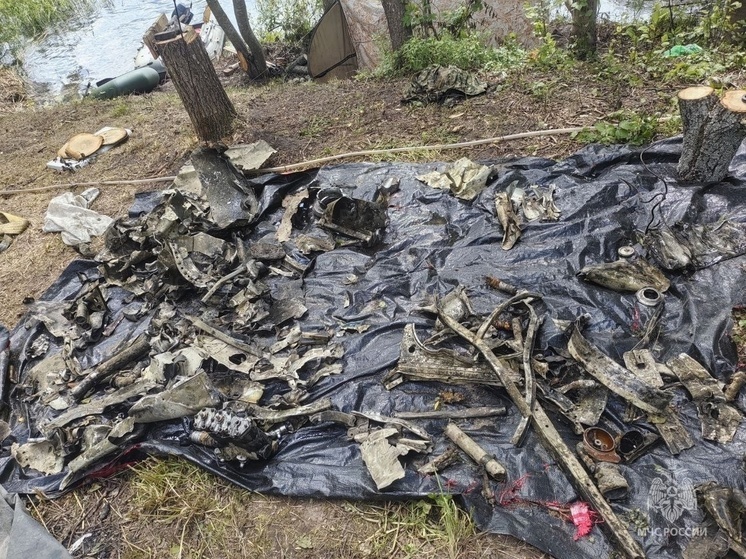Тверские спасатели вместе с поисковиками подняли бомбардировщик Пе-2 со дна озера в Пскове