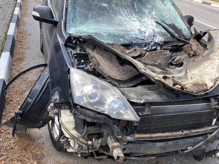 В Шебекино при атаке дрона на автомобиль пострадали две женщины