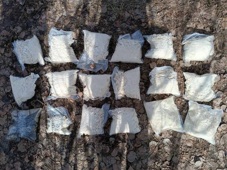 На М12 в Татарстане задержали наркокурьера, в тайнике нашли большую партию наркотиков