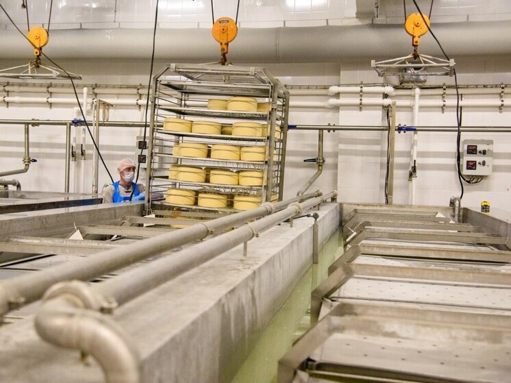 Сернурский сырзавод получил льготный займ в 200 миллионов рублей