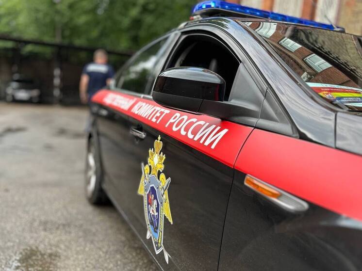 Бастрыкин потребовал доклада по проблеме калининградского подростка-инвалида